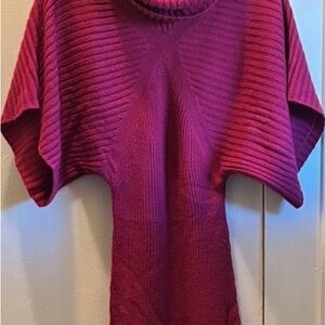 Wet Seal Fuchsia Knit Turtleneck - Sm